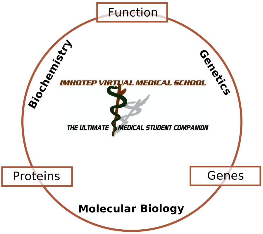 Imhotep Virtual Medical School